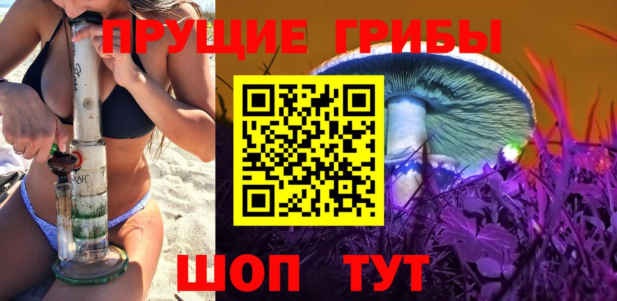 Псилоцибиновые грибы Psilocybe  закладка  Белебей  Вход с VPN 